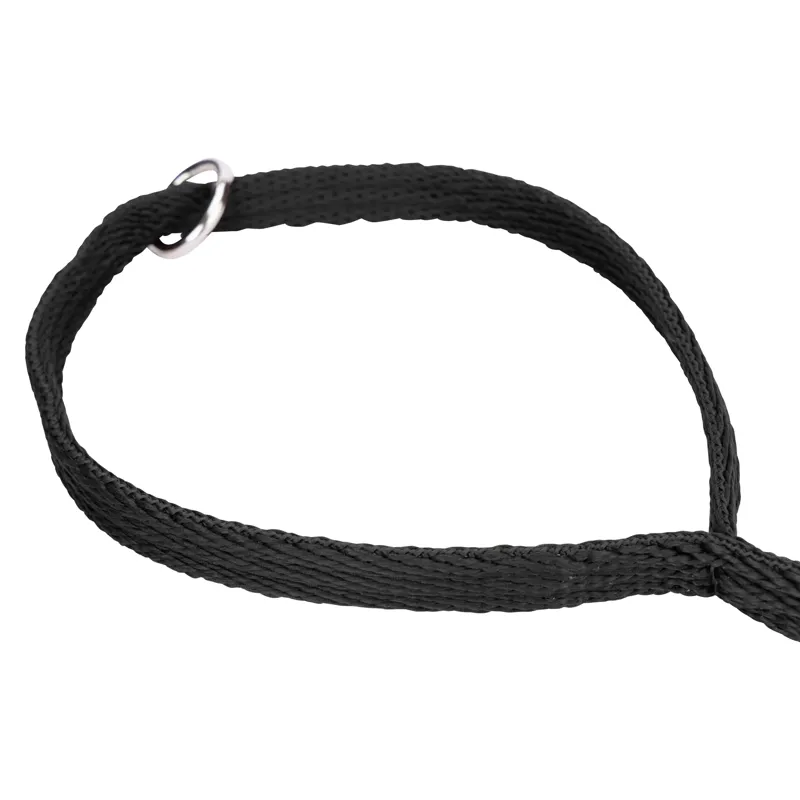 Digby and Fox Cushion Web Leash - Black-5