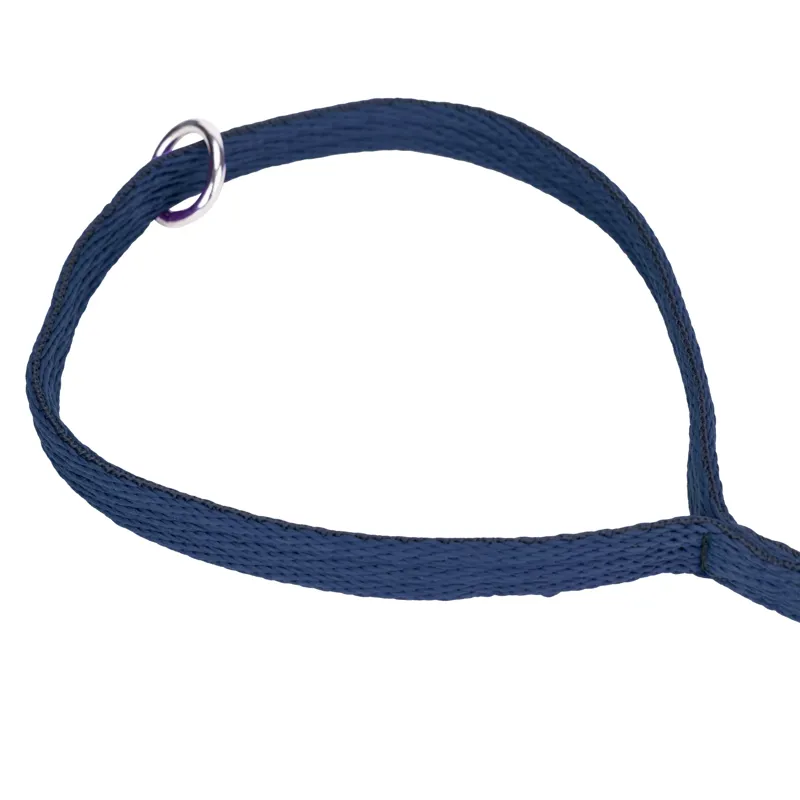 Digby and Fox Cushion Web Leash - Navy-5