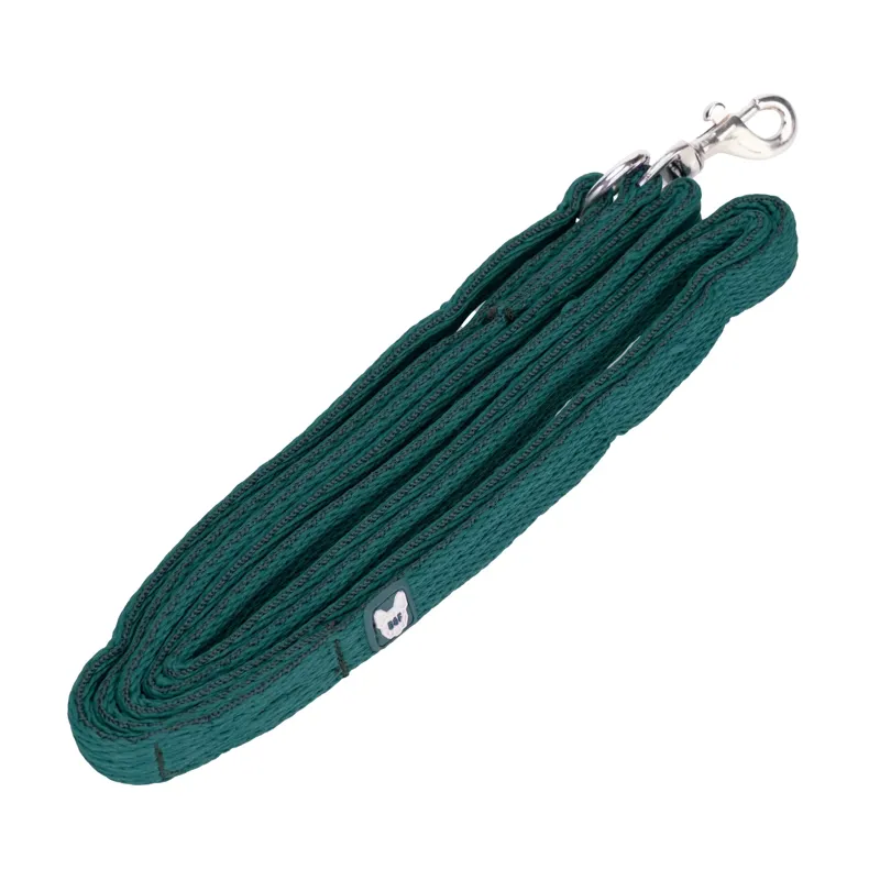 Digby and Fox Cushion Web Leash - Green