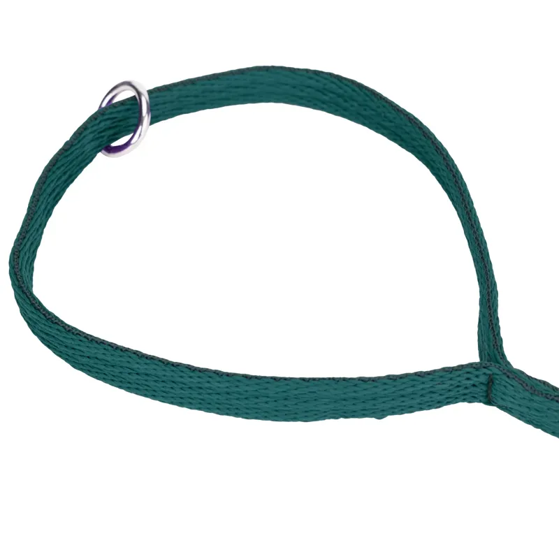 Digby and Fox Cushion Web Leash - Green-5