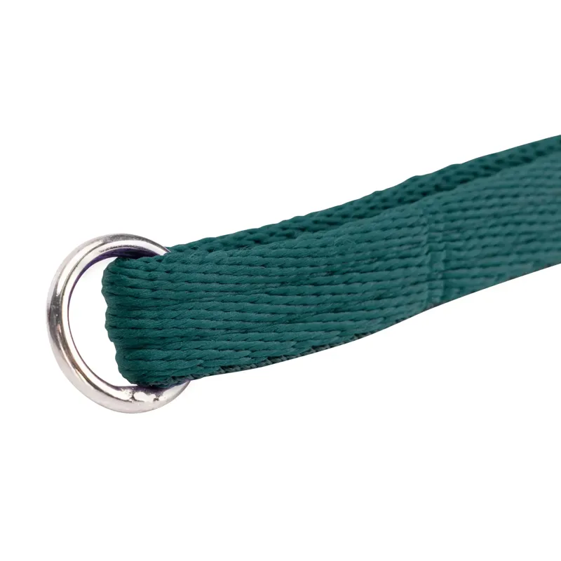 Digby and Fox Cushion Web Leash - Green-6