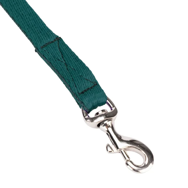 Digby and Fox Cushion Web Leash - Green-7