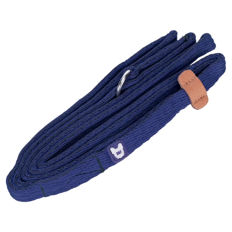Digby and Fox Cushion Web Slip Leash - Blue
