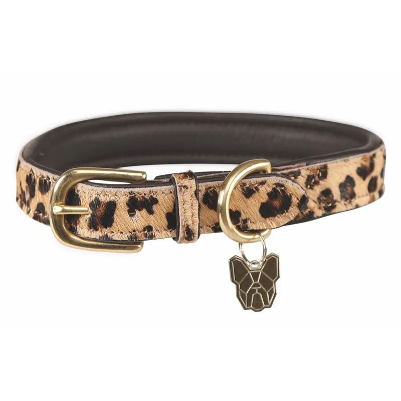 Digby and Fox Cow Hair Dog Collar - Leopard