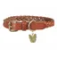 Digby and Fox Braided Dog Collar - Tan
