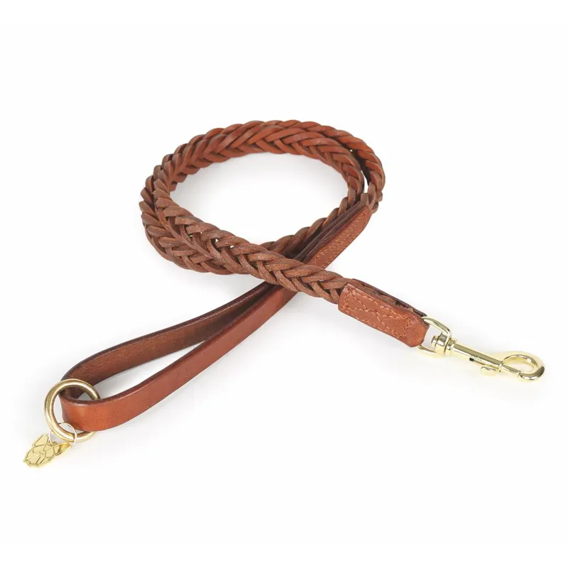 Digby and Fox Plaited Dog Leash - Tan