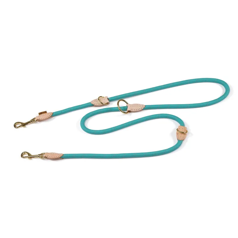 Digby and Fox Reflective Training Leash - Teal