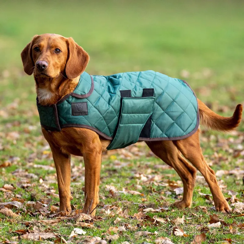 Digby and Fox Heritage Quilted Dog Coat - Forest