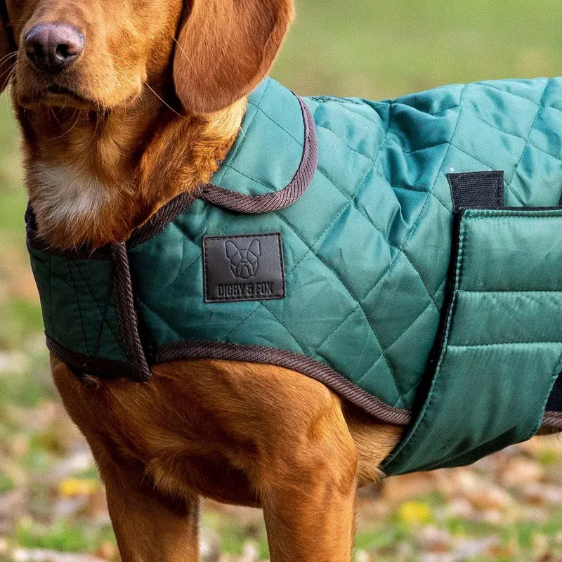 Digby and Fox Heritage Quilted Dog Coat - Forest-2