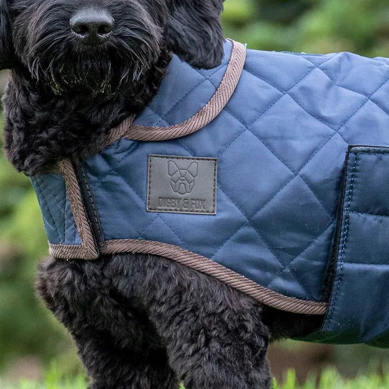 Digby and Fox Heritage Quilted Dog Coat - Indigo-3