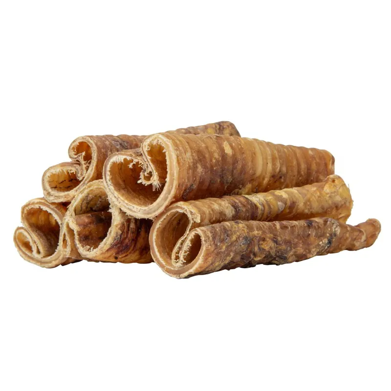 Digby and Fox Trachea for Dogs