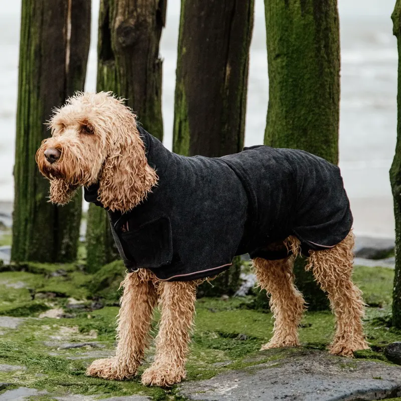 Kentucky Towel Dog Coat - Black