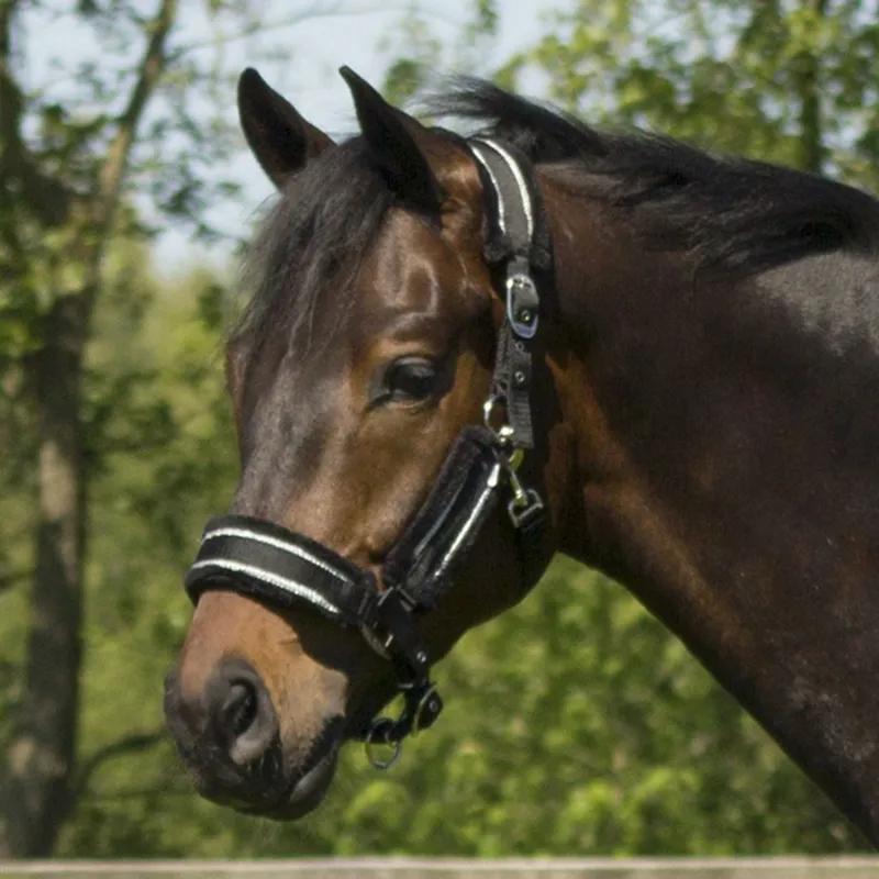 QHP Dolci Halter and Lead Rope Set - Black/Silver-1