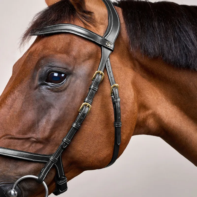 Dy'on D Collection X-Fit Bridle - Black-2
