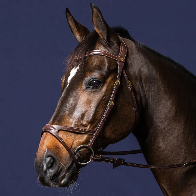 Dy'on D Collection X-Fit Bridle - Black-5