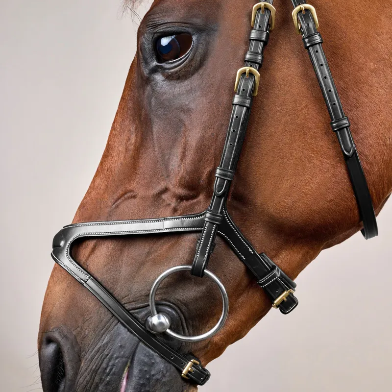 Dy'on D Collection X-Fit Bridle - Black-3