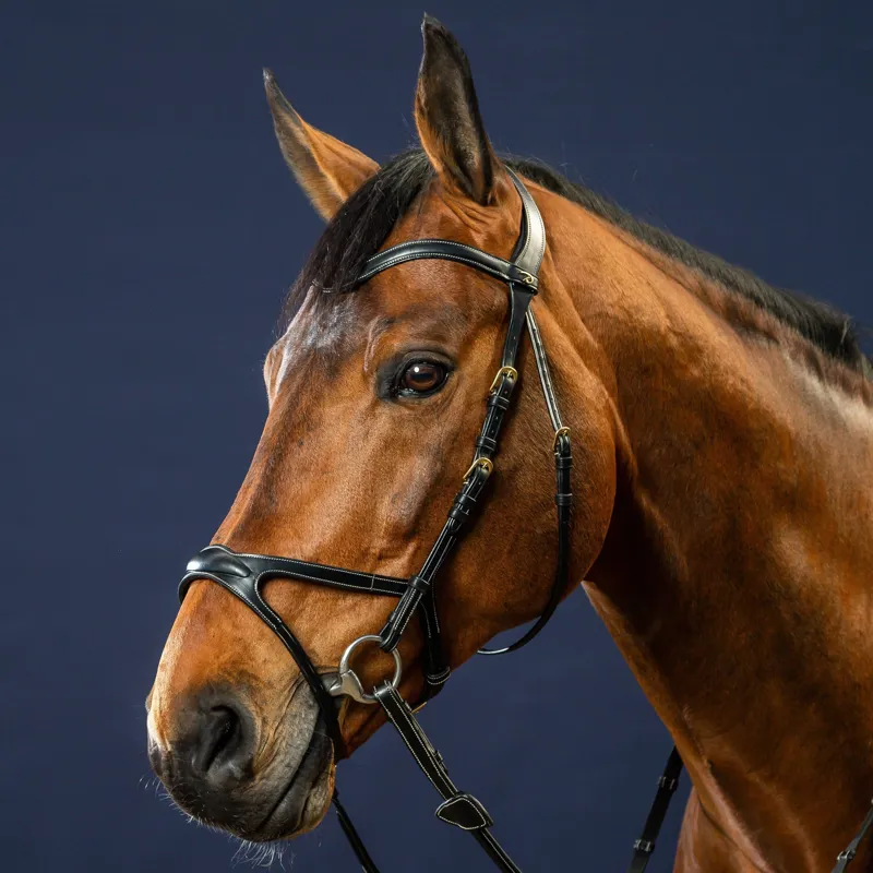 Dy'on D Collection X-Fit Bridle - Brown-3