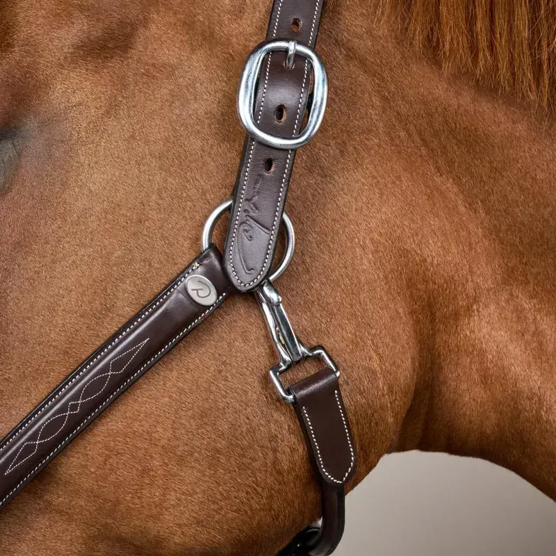 Dy'on Fancy Halter - Brown-2