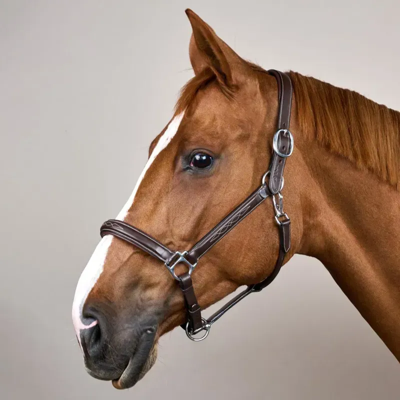 Dy'on Fancy Halter - Brown-1