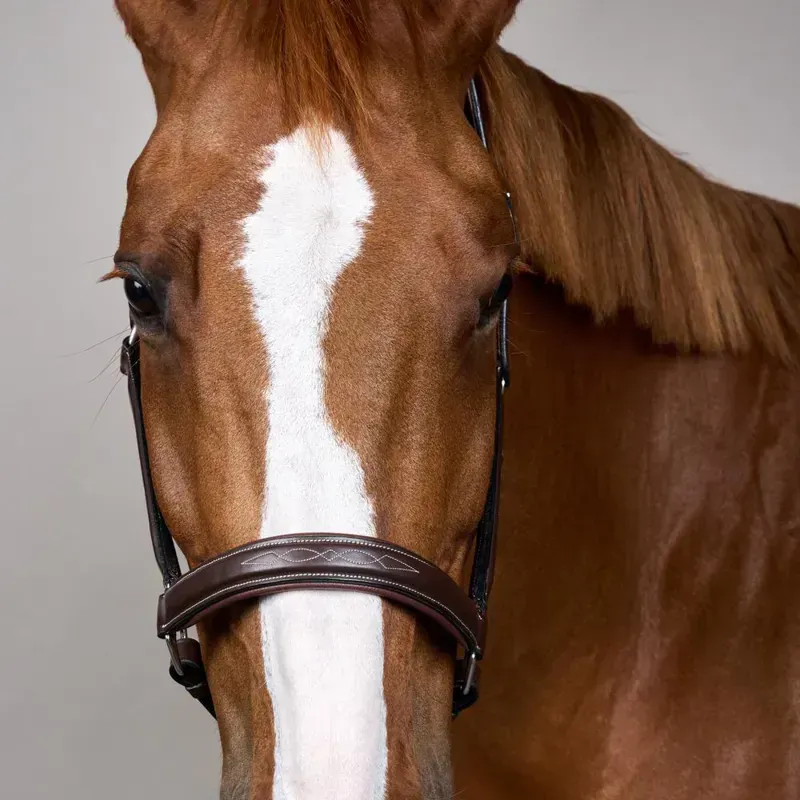 Dy'on Fancy Halter - Brown-3