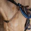 Dy'on New English Elastic Breastplate - Brown