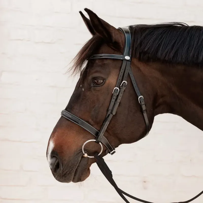 Dy'on Working Cavesson Hunter Bridle - Black-1