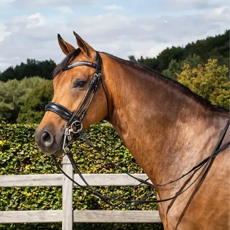 Dy'on Double Large Crank Noseband Double Bridle - Matte Black-1