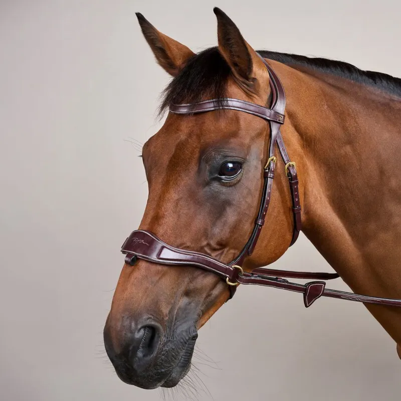 Dyon D Collection D Motion Flash Bitless Multi Bridle - Brown-8