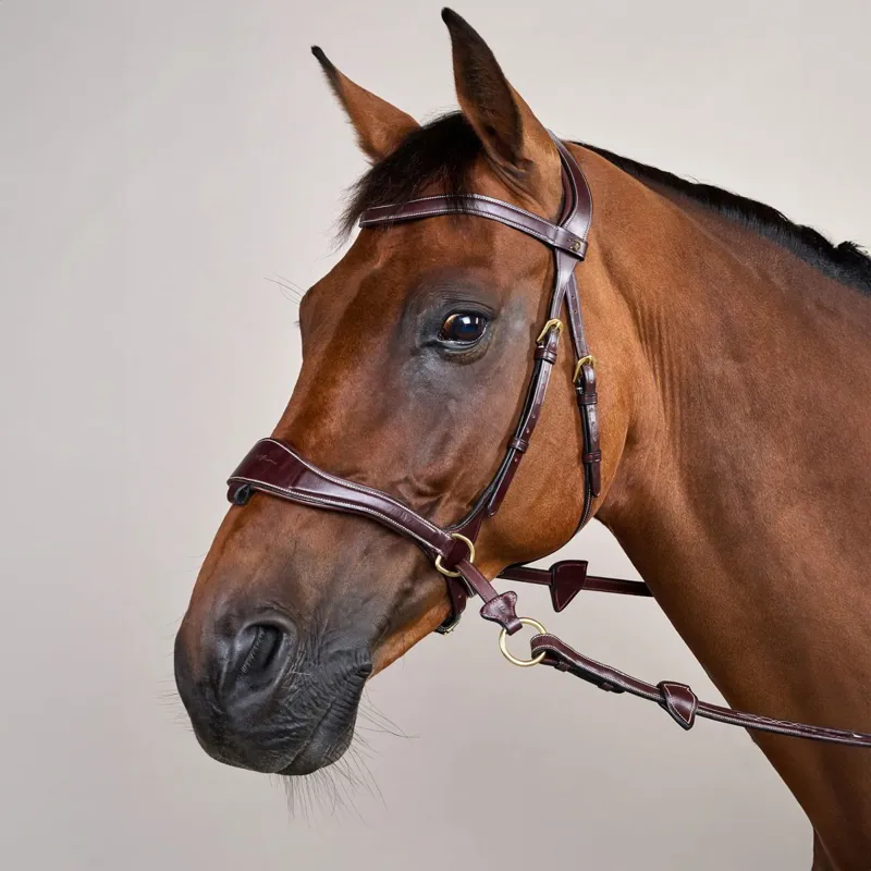 Dyon D Collection D Motion Flash Bitless Multi Bridle - Brown-7