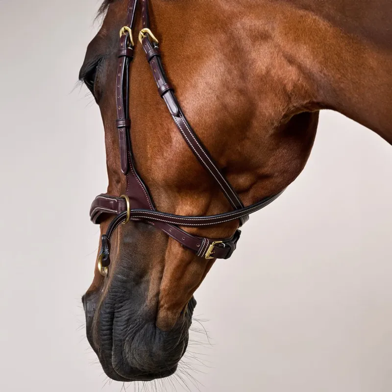 Dyon D Collection D Motion Flash Bitless Multi Bridle - Brown-6