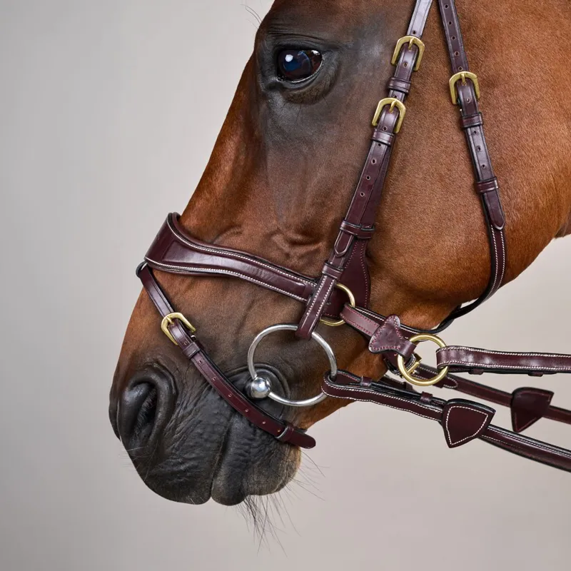 Dyon D Collection D Motion Flash Bitless Multi Bridle - Brown-5