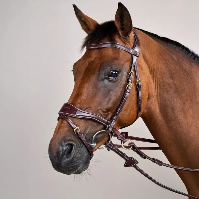Dyon D Collection D Motion Flash Bitless Multi Bridle - Brown-2