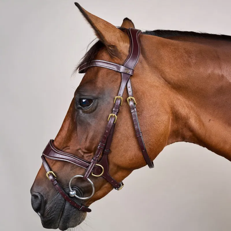 Dyon D Collection D Motion Flash Bitless Multi Bridle - Brown-4