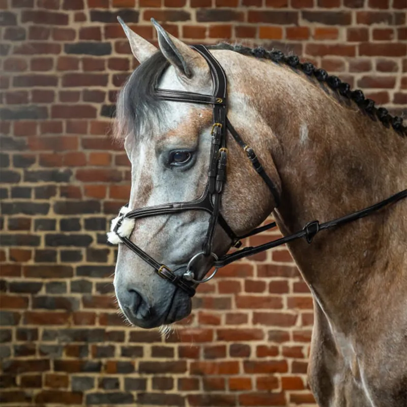 Dyon D Collection Figure 8 Bridle - Black-1