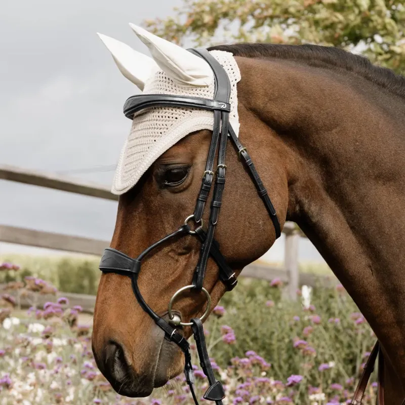 Dyon Hybrid Anatomical Leather Noseband Bridle - Black-1