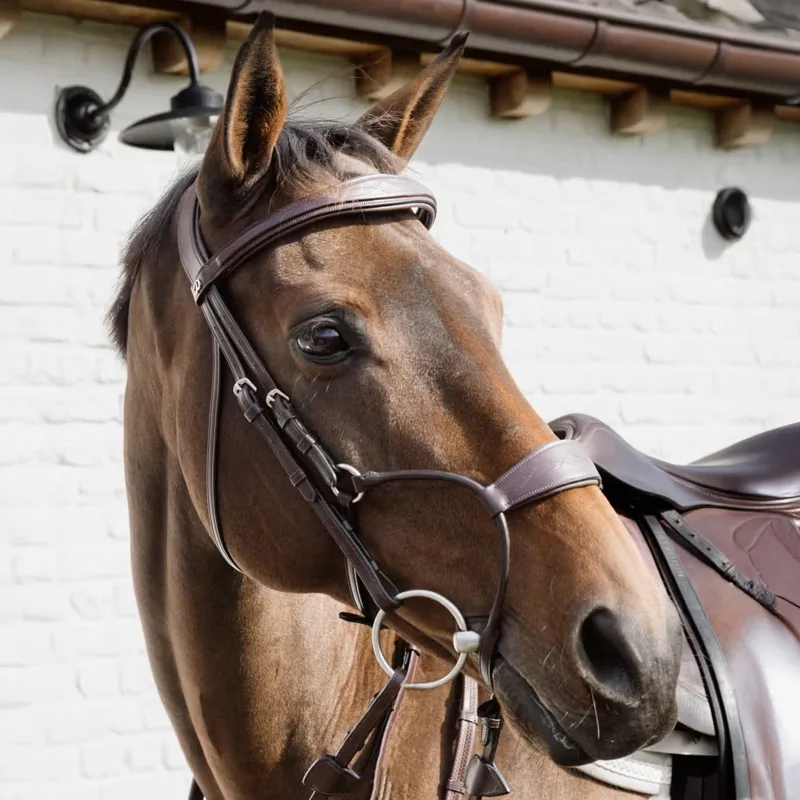 Dy'on Hybrid Anatomical Leather Noseband Bridle - Brown-1