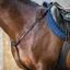 Dy'on New English Breastplate - Black