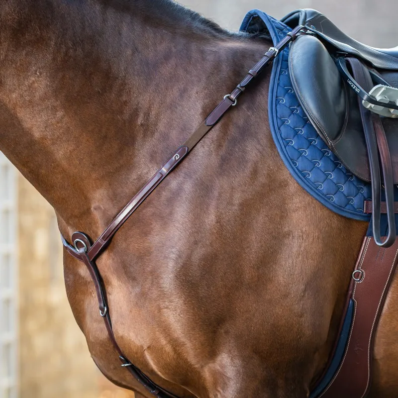 Dy'on New English Breastplate - Brown