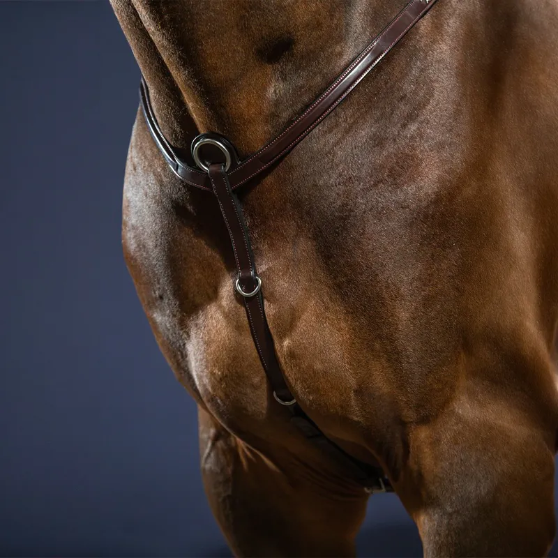 Dy'on New English Breastplate - Brown-5