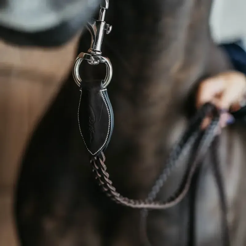 Dy'on Braided Lead Rope - Brown-1