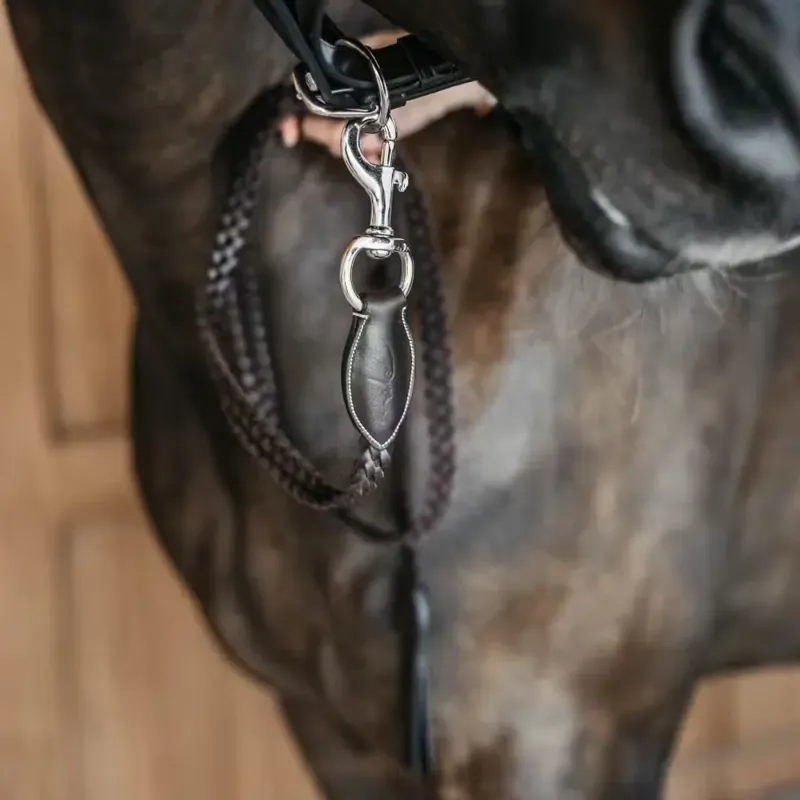 Dy'on Braided Lead Rope - Brown-3