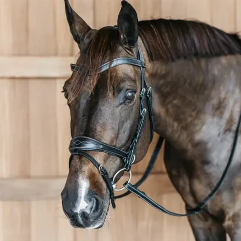 Dy'on Working Motion Bridle - Black-5