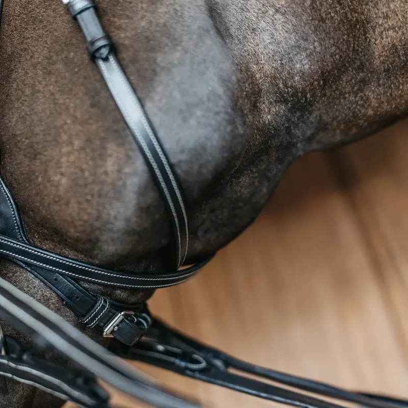 Dy'on Working Motion Bridle - Black-4
