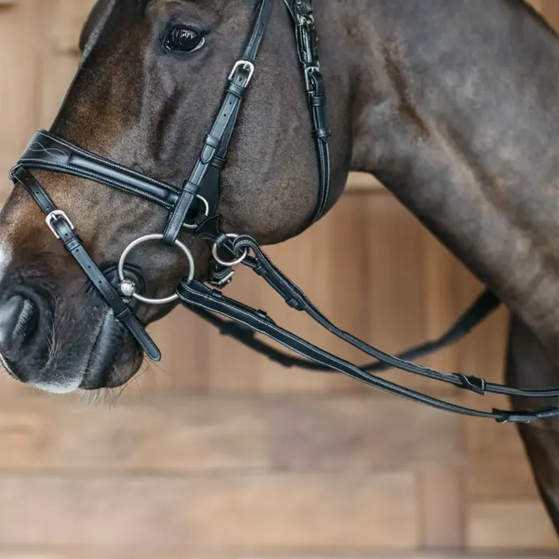 Dy'on Working Motion Bridle - Black-3