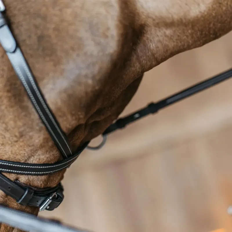 Dyon Working Motion Bridle Brown-7