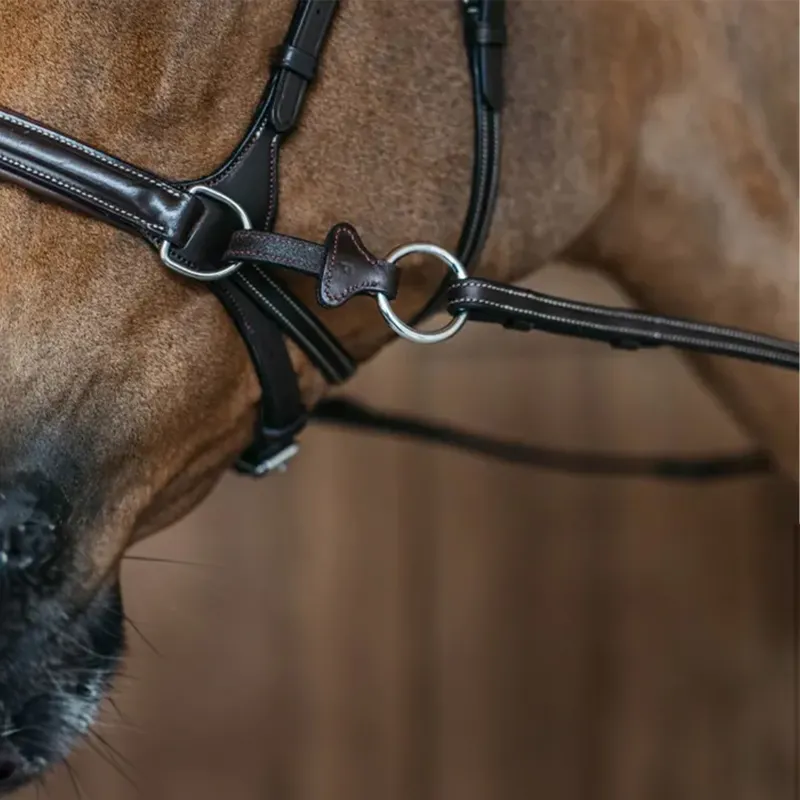 Dyon Working Motion Bridle Brown-6