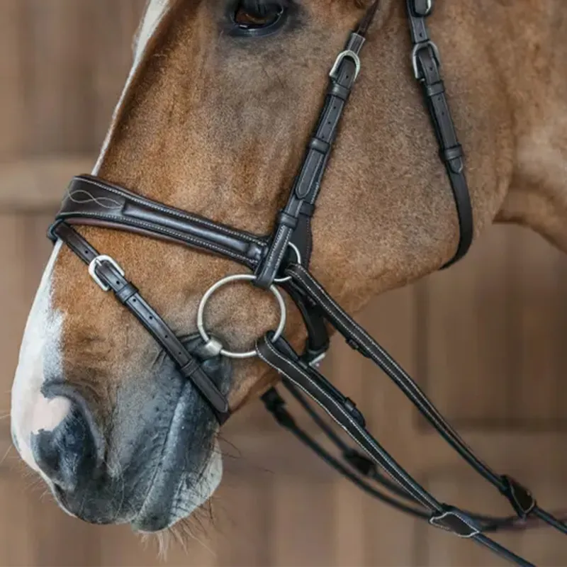 Dyon Working Motion Bridle Brown-5