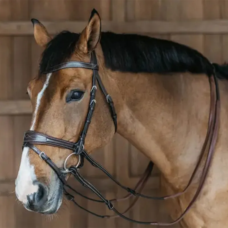 Dyon Working Motion Bridle Brown-4