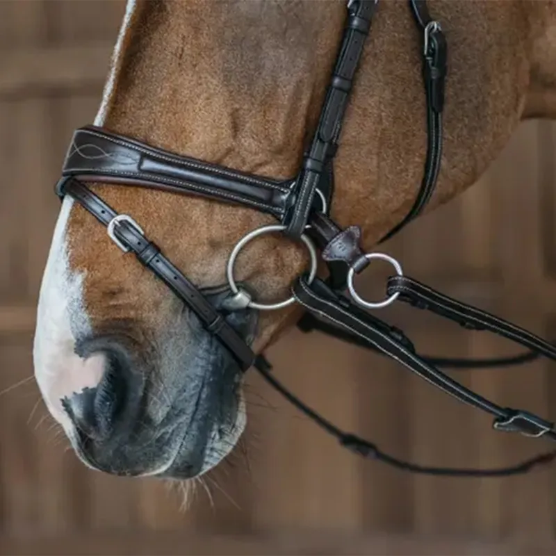 Dyon Working Motion Bridle Brown-3