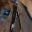 Dy'on Fancy Leather Bridle Blinkers - Black